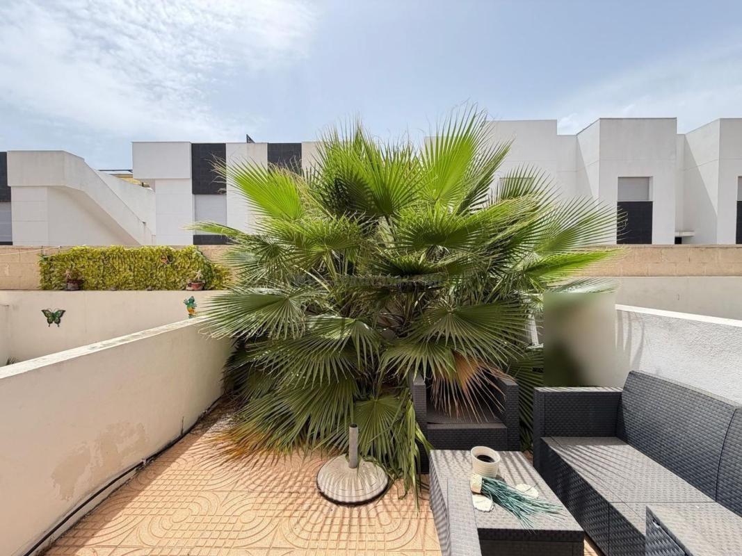Venta de  en Rojales