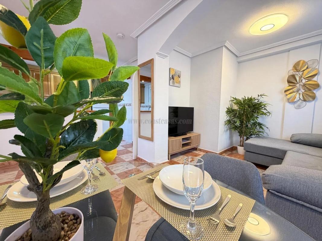 Venta de  en Orihuela