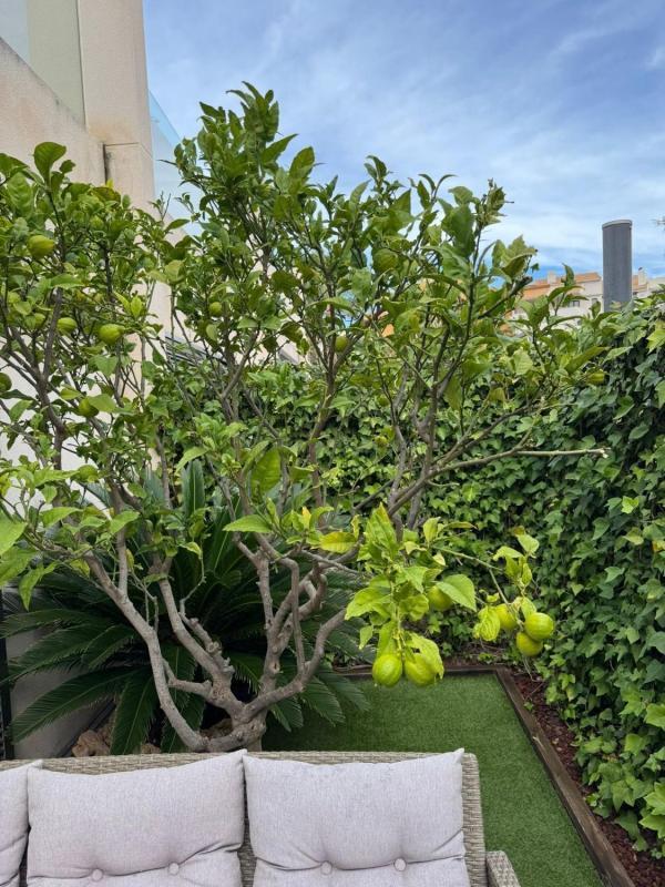 Venta de  en Torrevieja