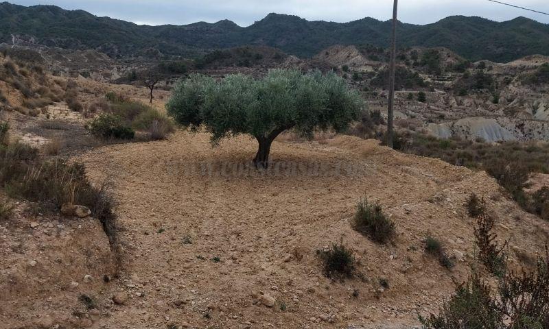 Venta de terreno en Abanilla