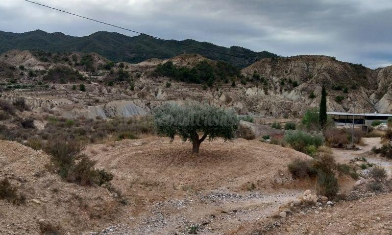 Venta de terreno en Abanilla