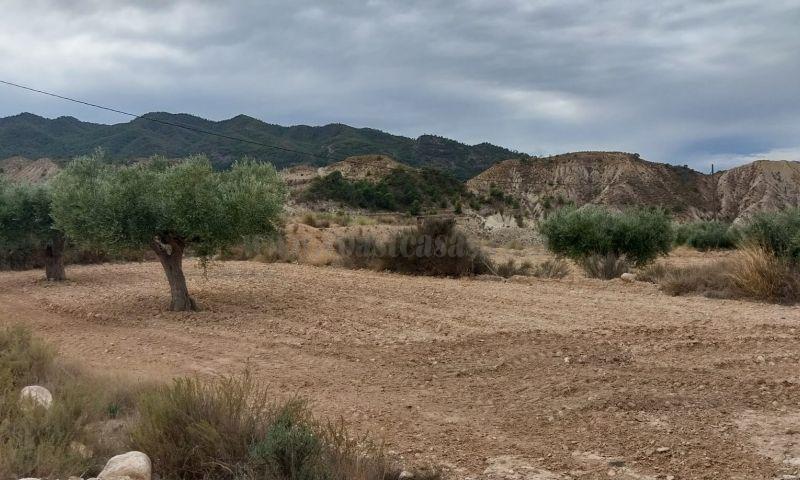 Venta de terreno en Abanilla