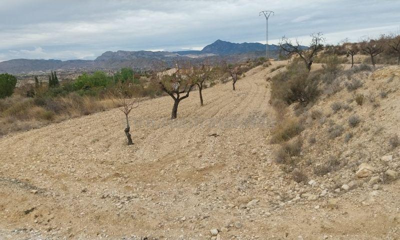 Venta de terreno en Abanilla