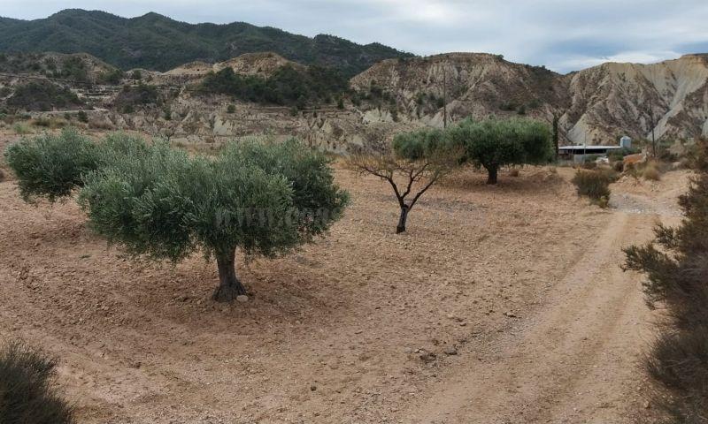 Venta de terreno en Abanilla