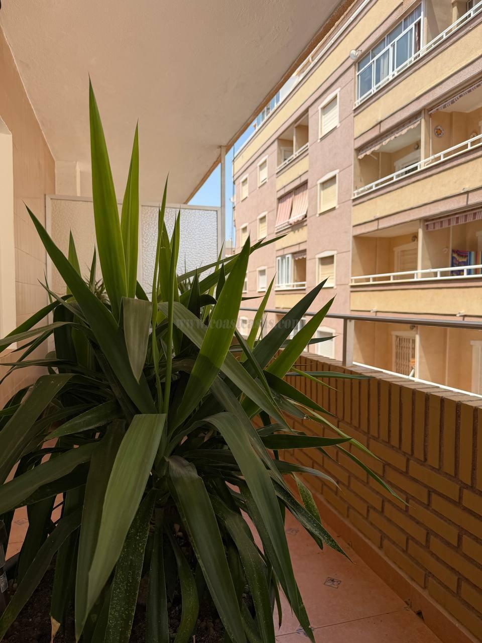 Venta de apartamento en Torrevieja