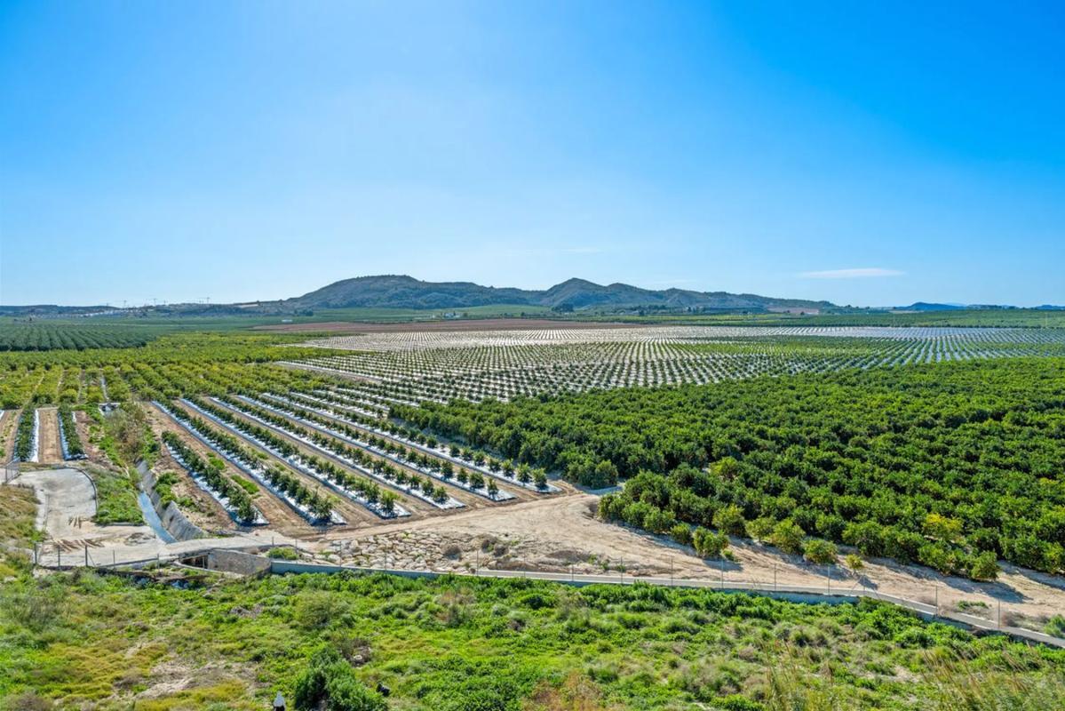 Venta de apartamento en Algorfa