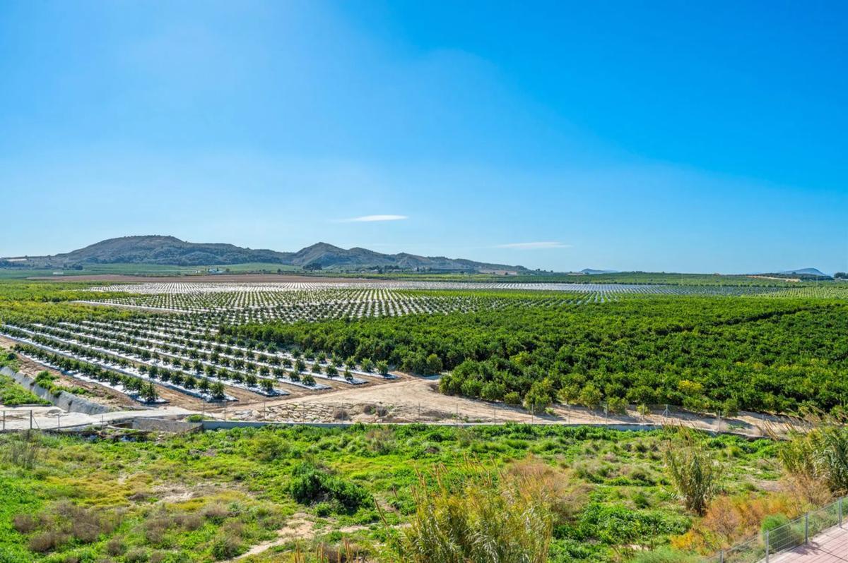 Venta de apartamento en Algorfa