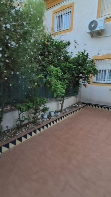Venta de  en Guardamar del Segura