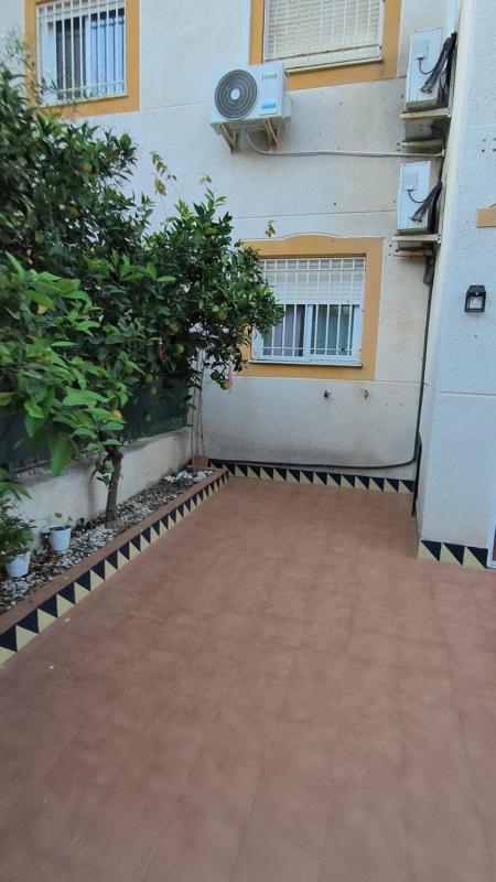 Venta de  en Guardamar del Segura