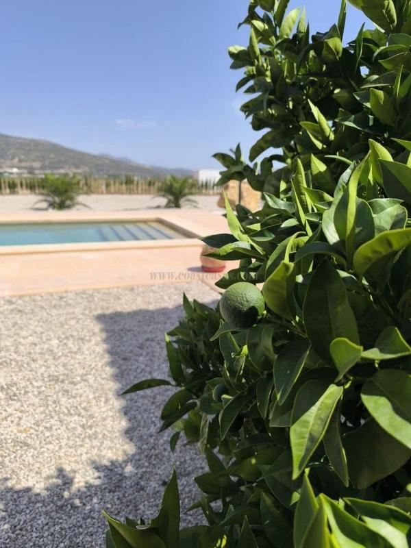 Venta de villa en Pinoso