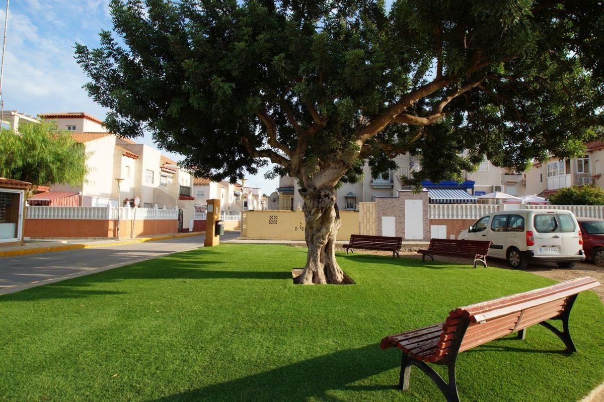 Venta de  en Orihuela