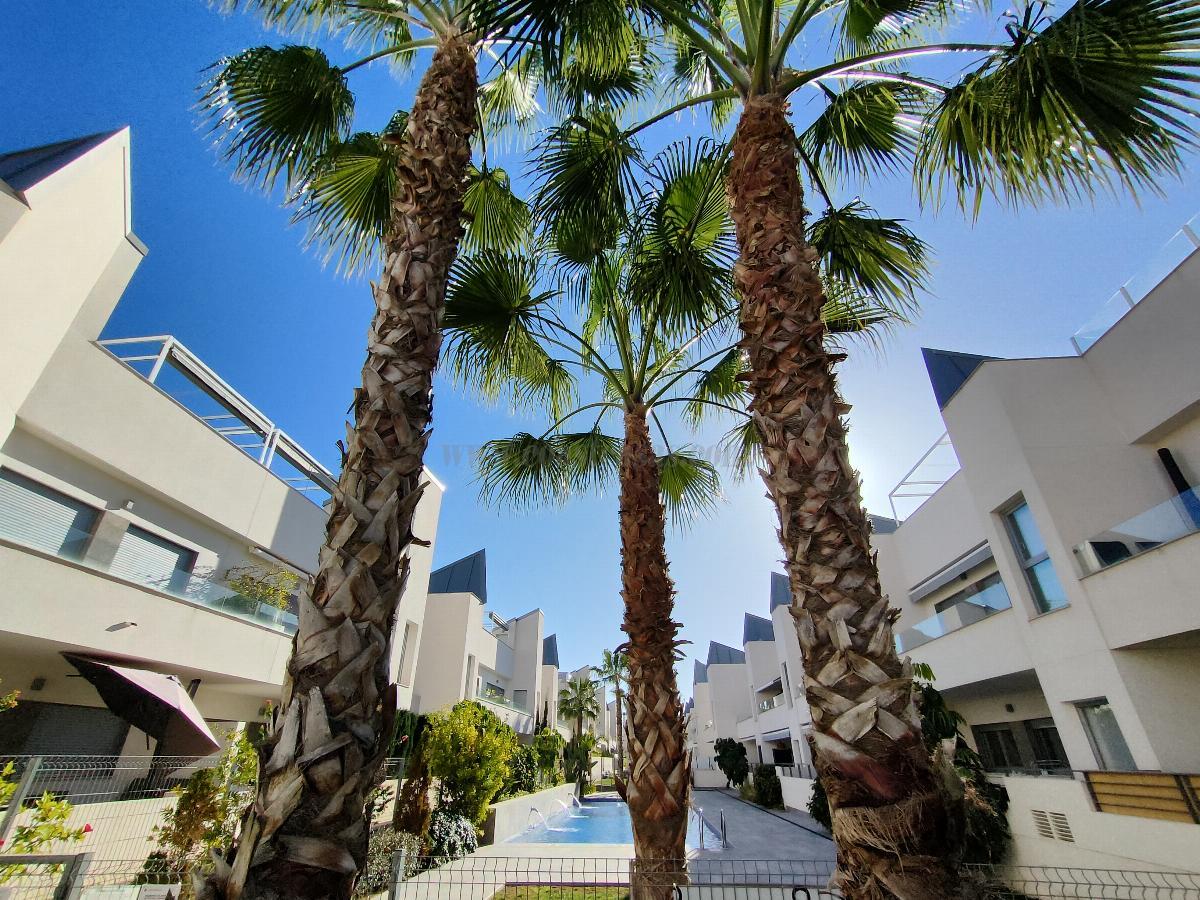 For sale of apartment in Torrevieja