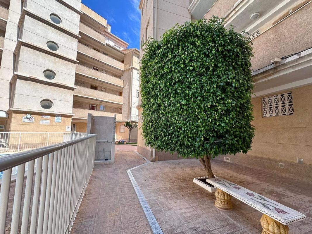 Venta de apartamento en Torrevieja