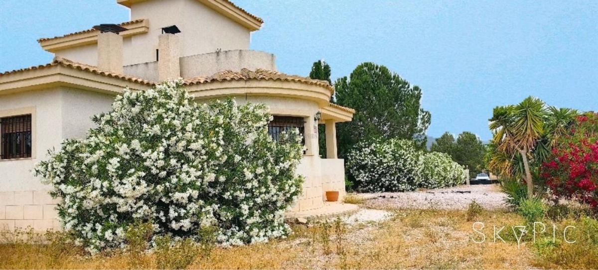 Venta de villa en Pinoso