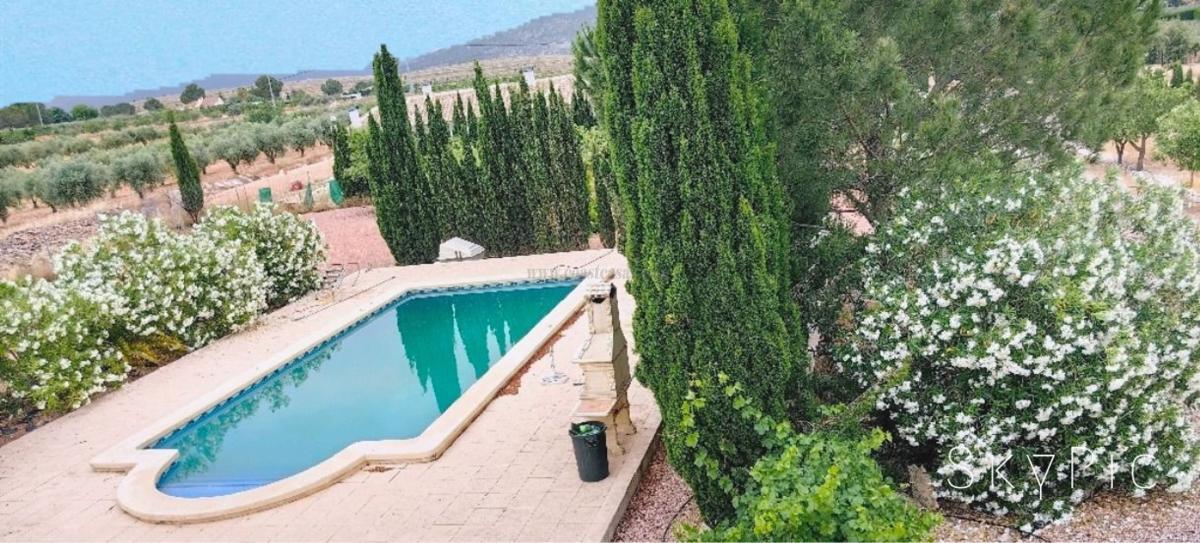 Venta de villa en Pinoso
