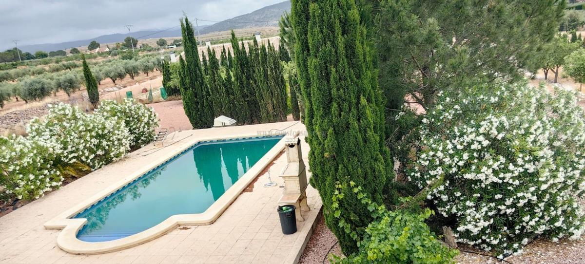 Venta de villa en Pinoso