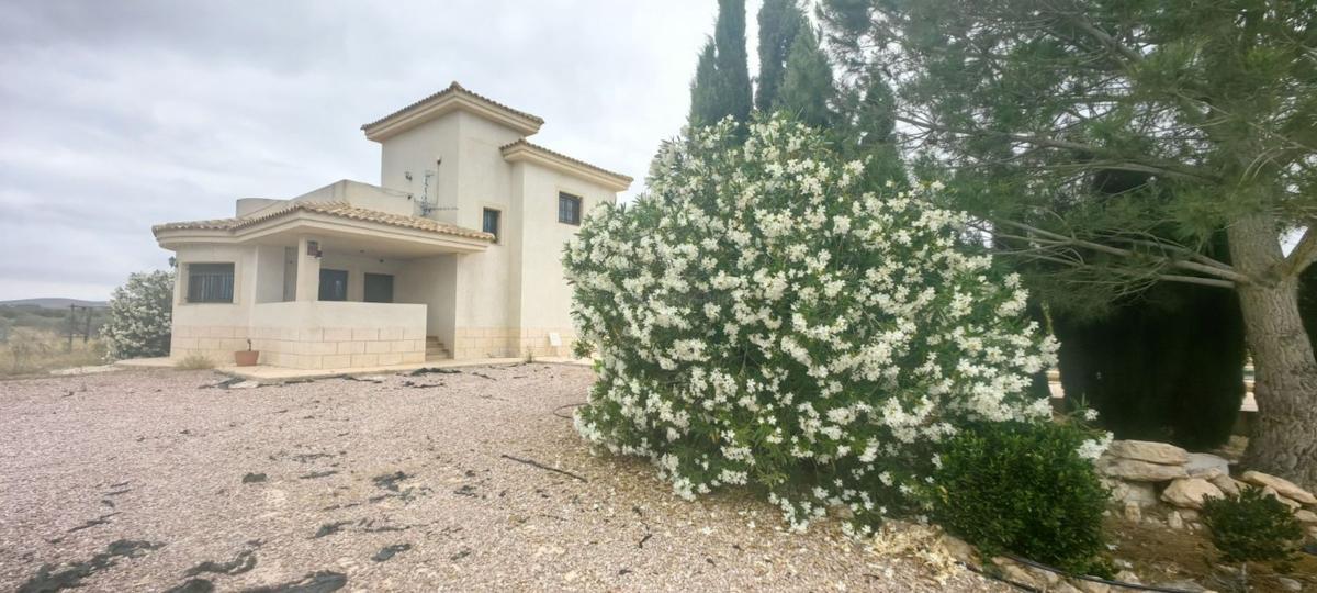 Venta de villa en Pinoso
