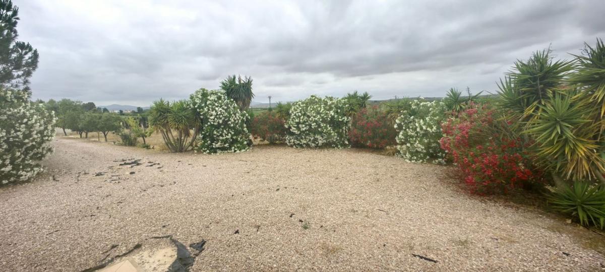 Venta de villa en Pinoso