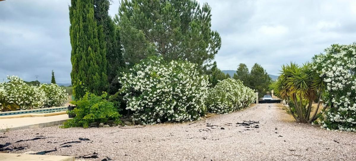 Venta de villa en Pinoso