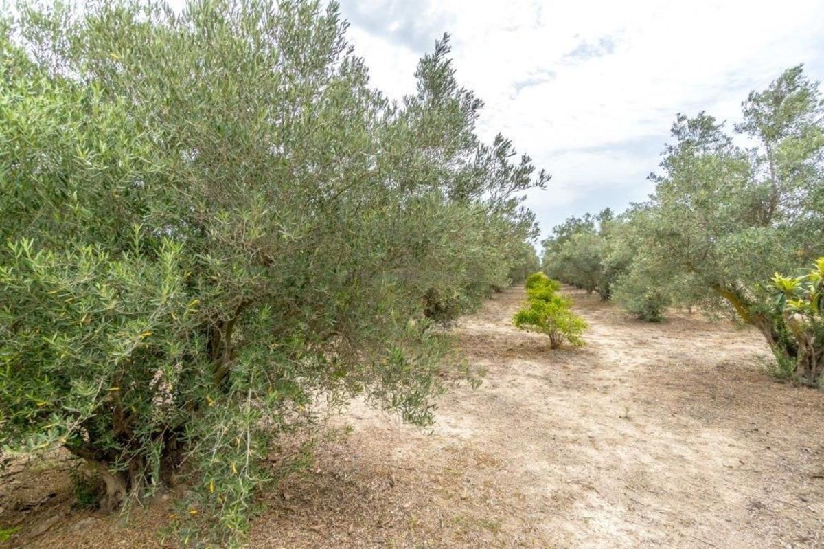 Venta de casas en Dolores