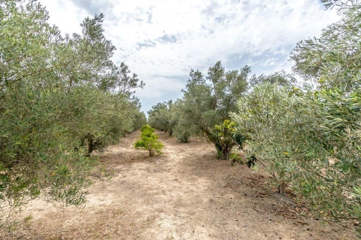 Venta de casas en Dolores