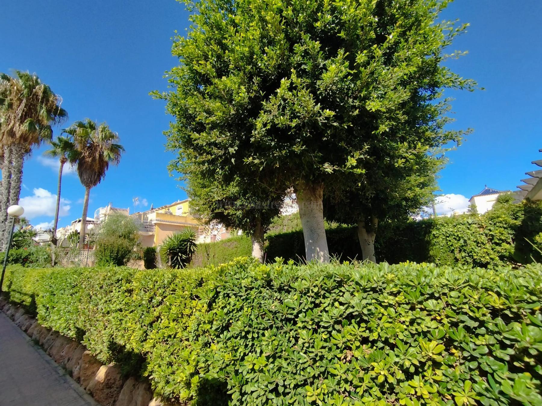 Venta de chalet en Torrevieja
