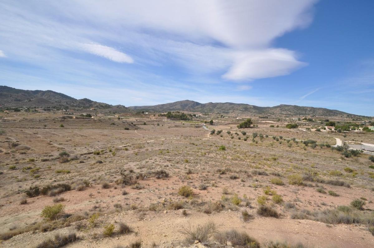 Venta de villa en Monovar