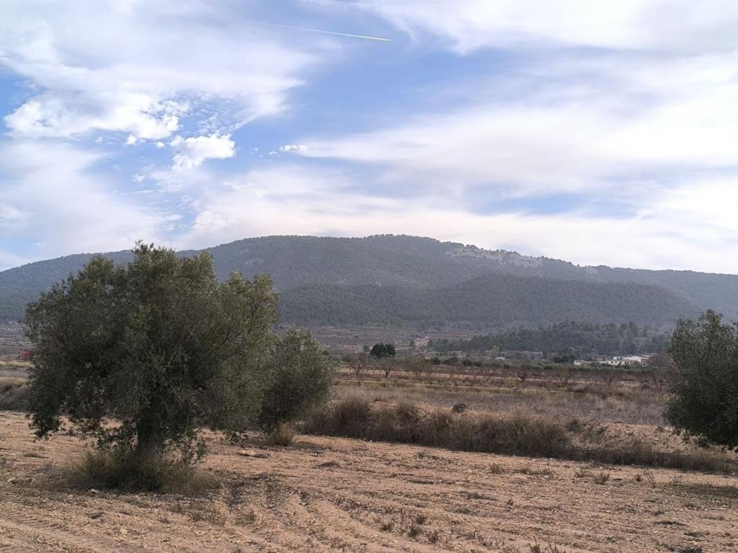 Venta de casas en Monovar