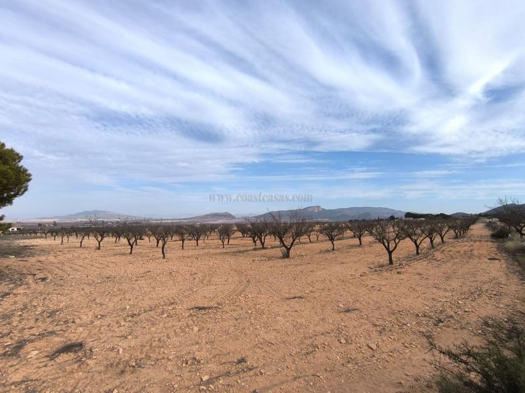 Venta de casas en Monovar