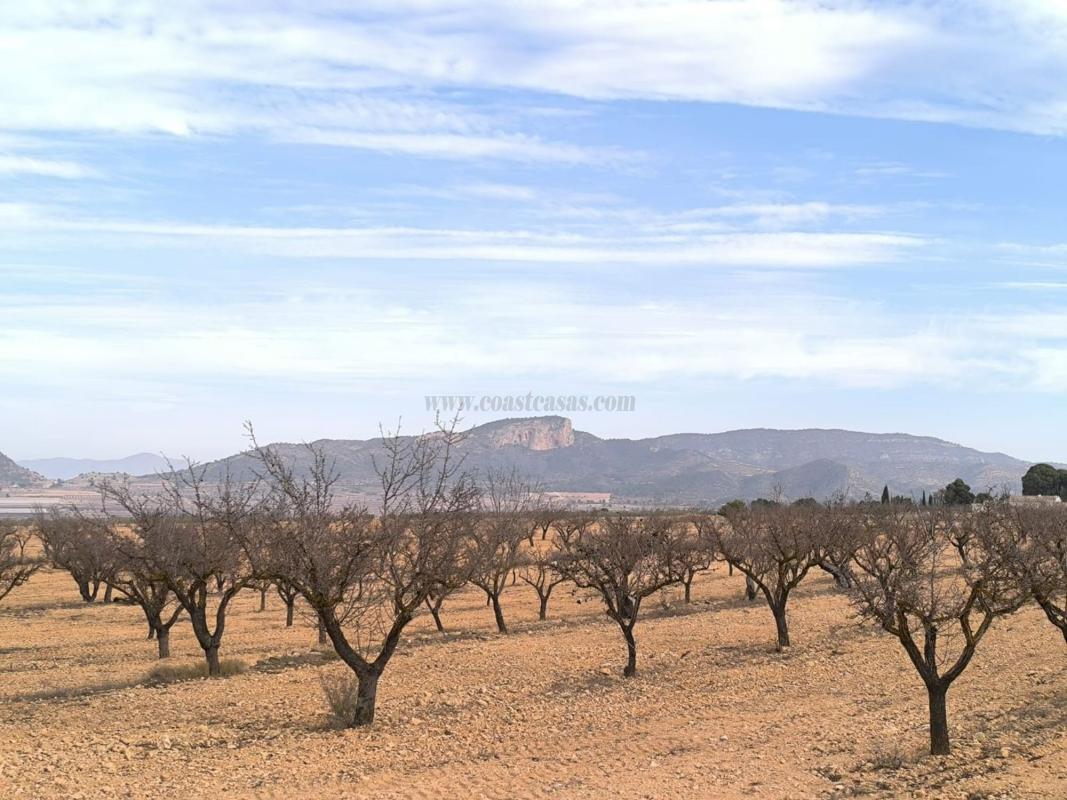 Venta de casas en Monovar