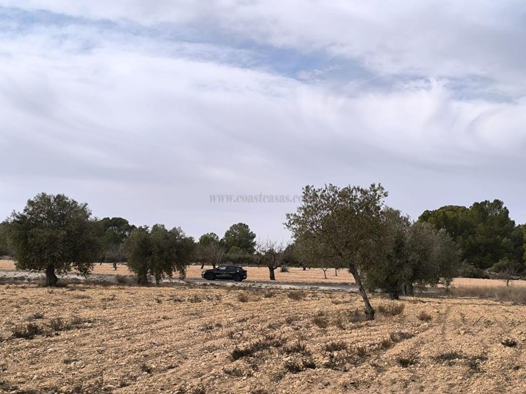Venta de casas en Monovar