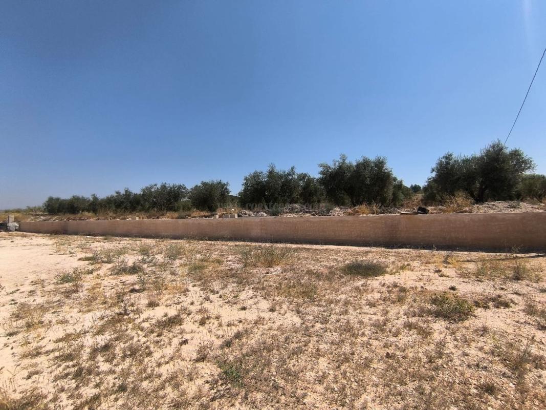 Venta de casas en Pinoso