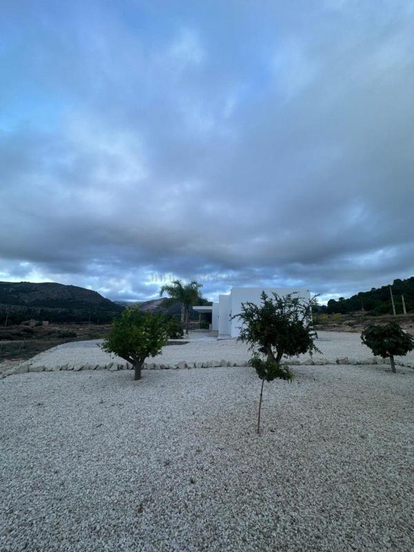 Venta de villa en Pinoso