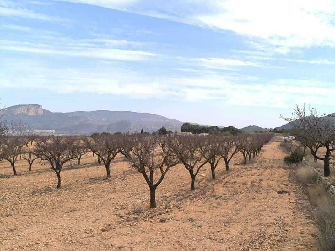 Venta de casas en Monovar