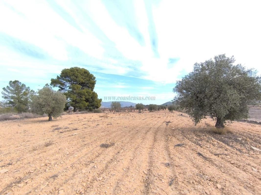 Venta de casas en Monovar
