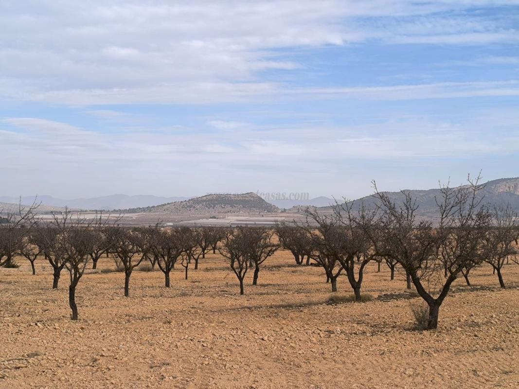 Venta de casas en Monovar