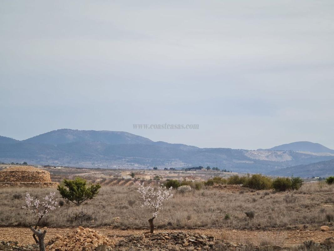 Venta de casas en Pinoso