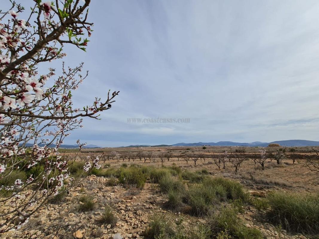 Venta de casas en Pinoso