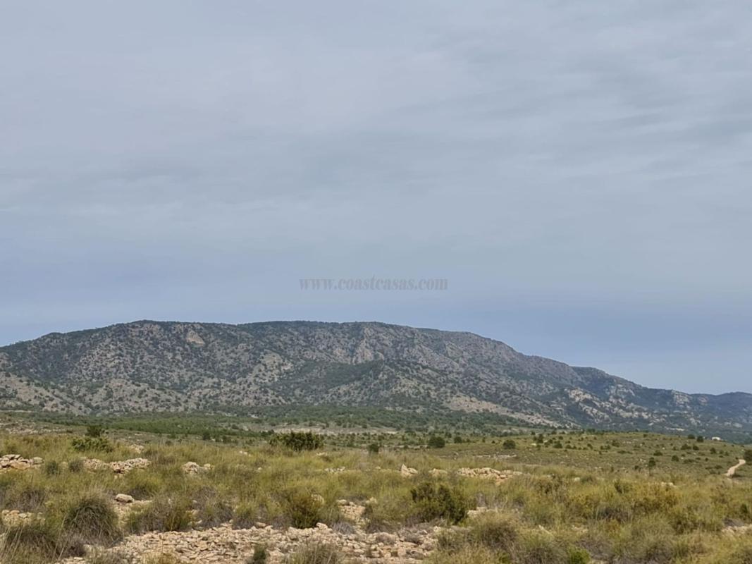 Venta de casas en Pinoso