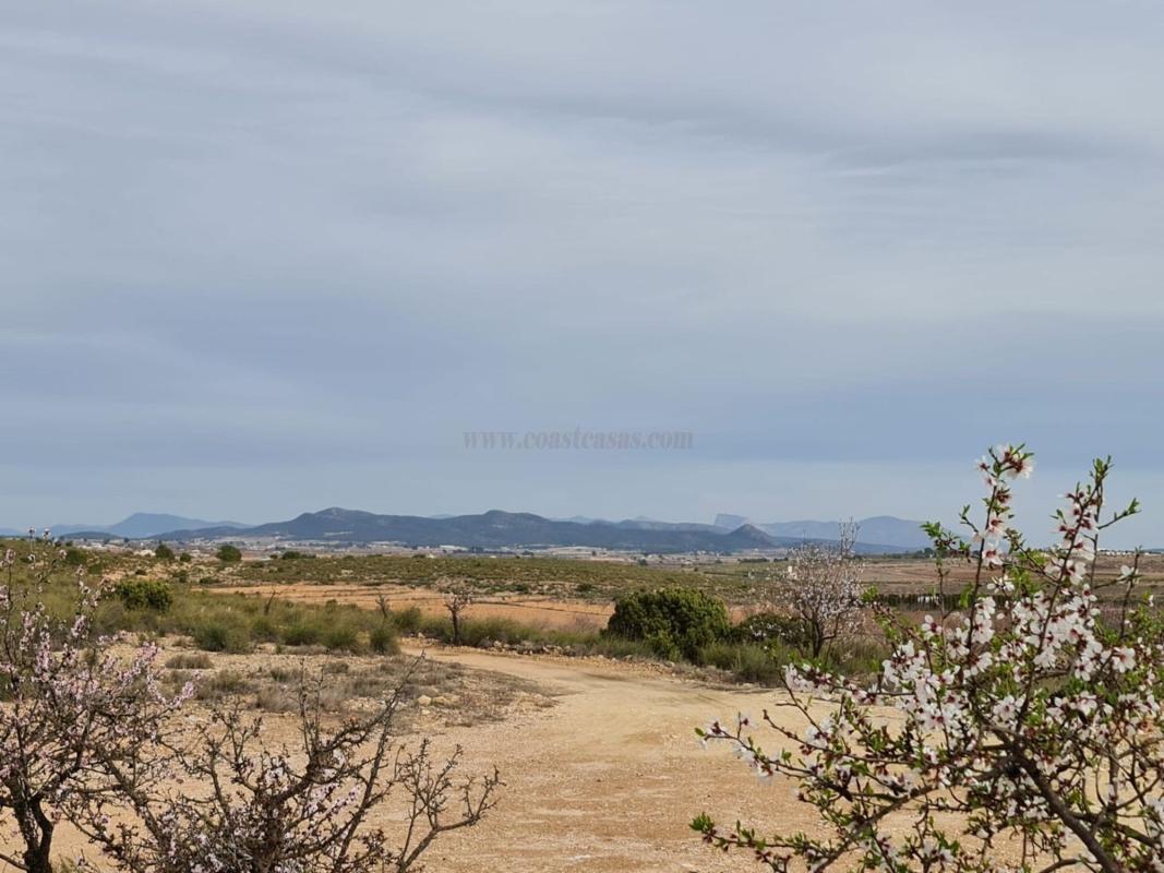 Venta de casas en Pinoso