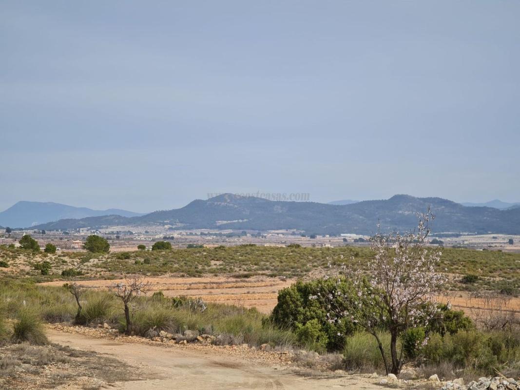 Venta de casas en Pinoso