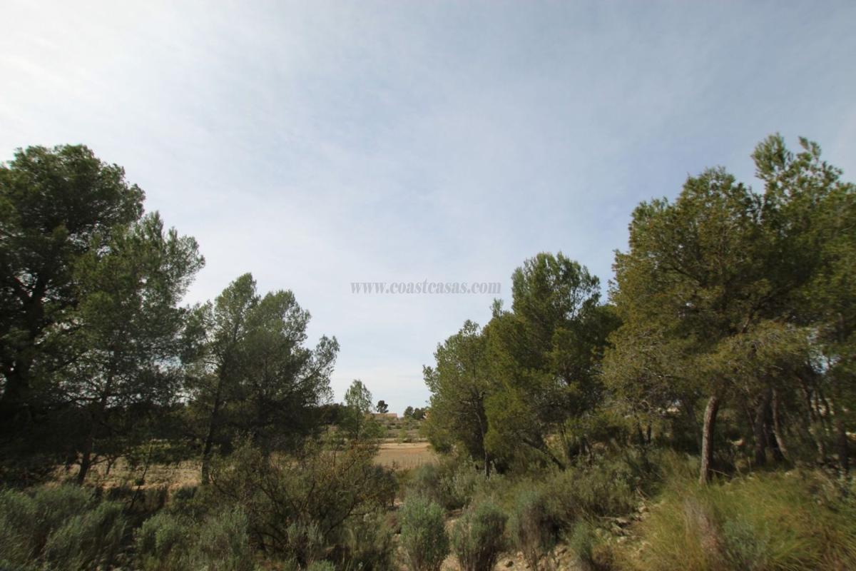 Venta de villa en Monovar
