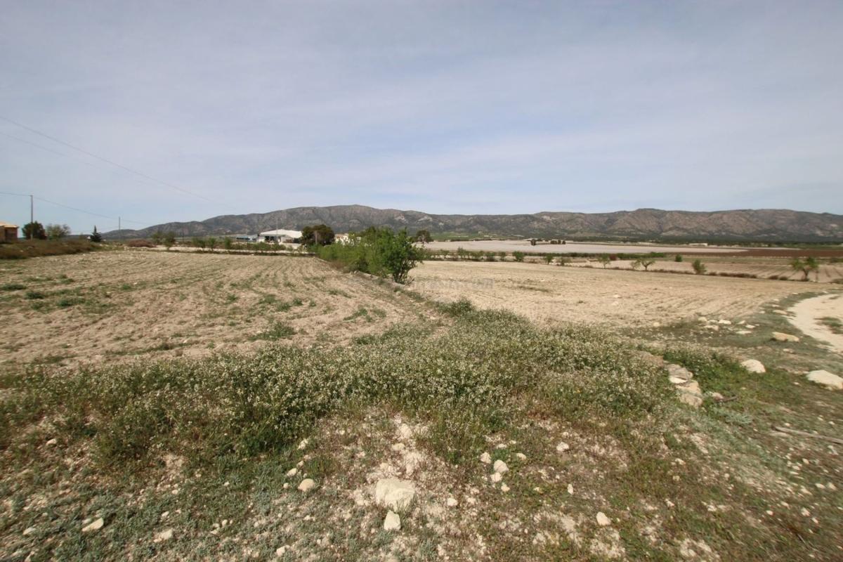 Venta de villa en Monovar
