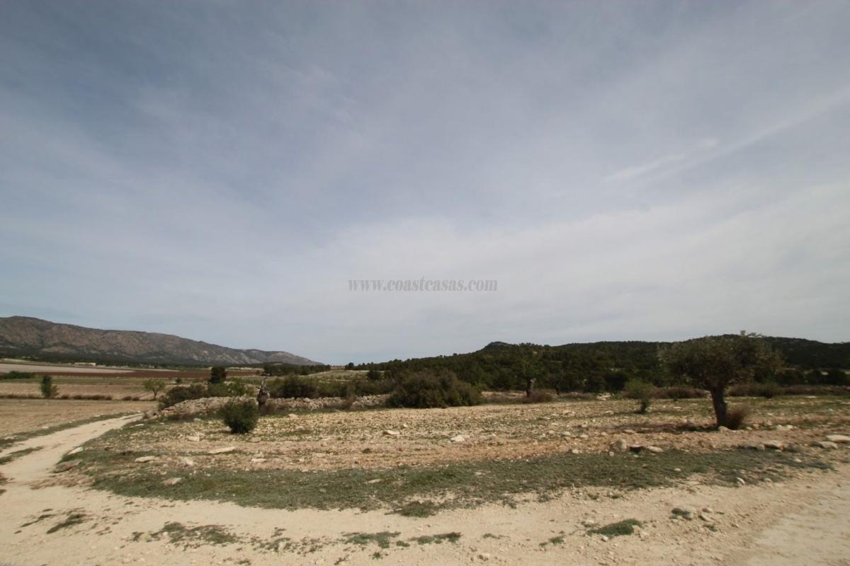 Venta de villa en Monovar