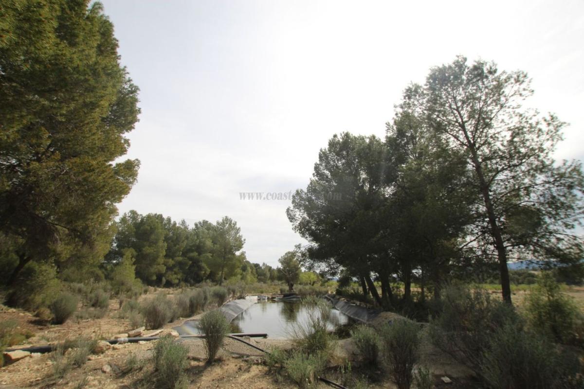Venta de villa en Monovar