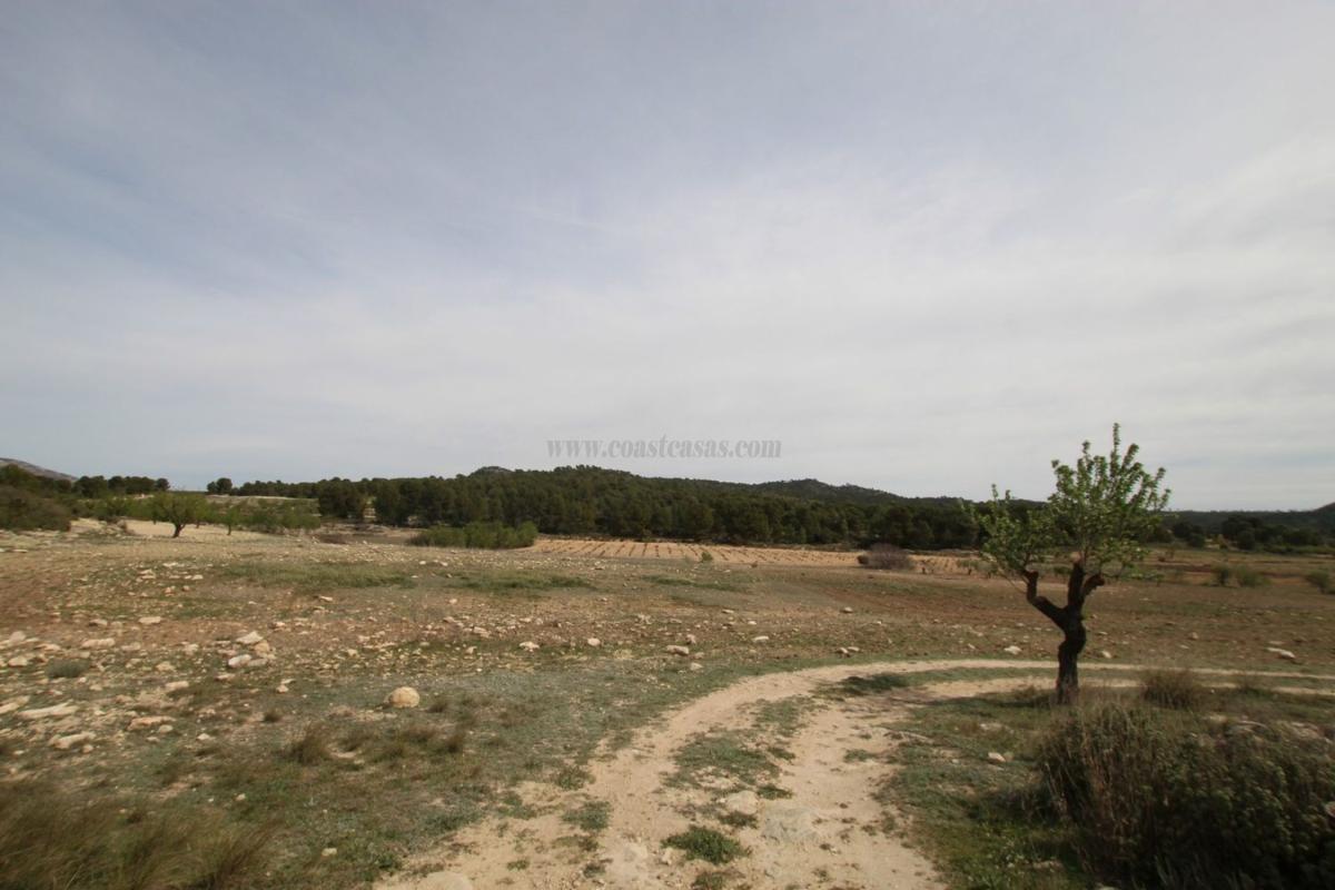 Venta de villa en Monovar