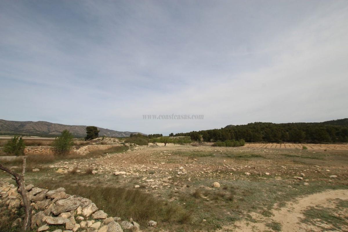Venta de villa en Monovar