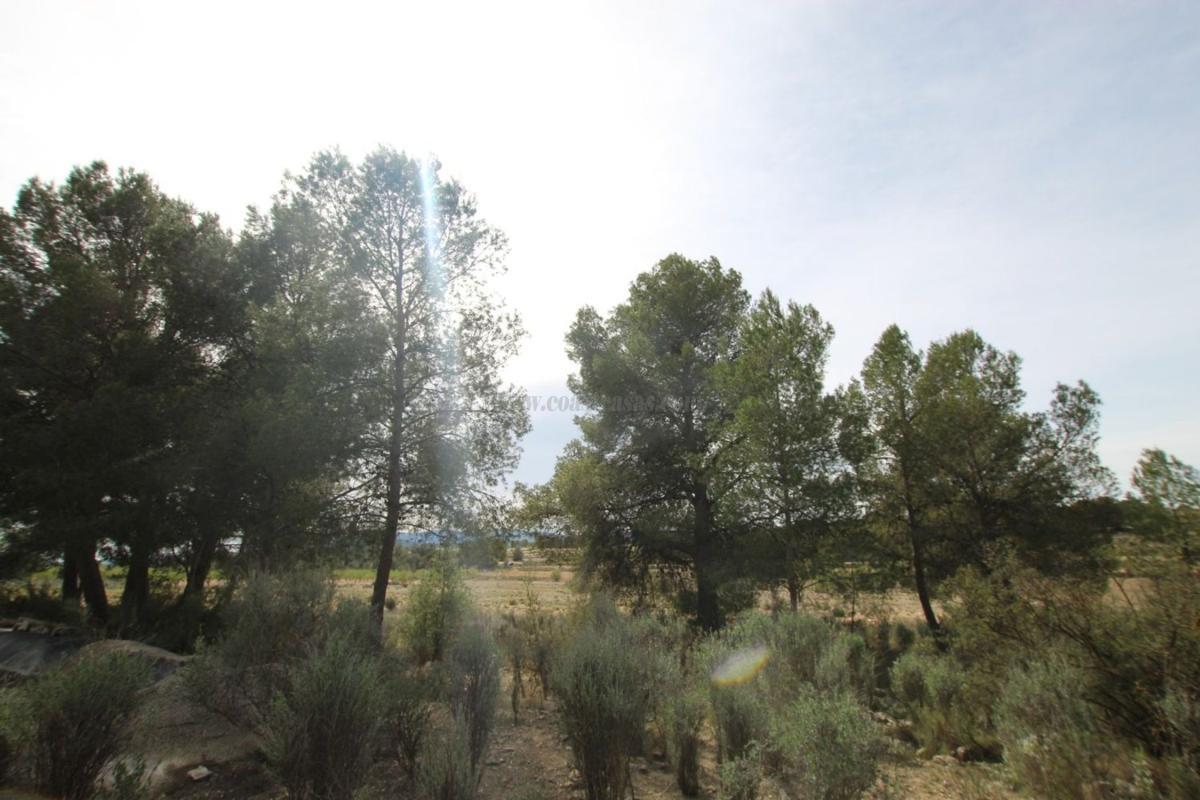 Venta de villa en Monovar