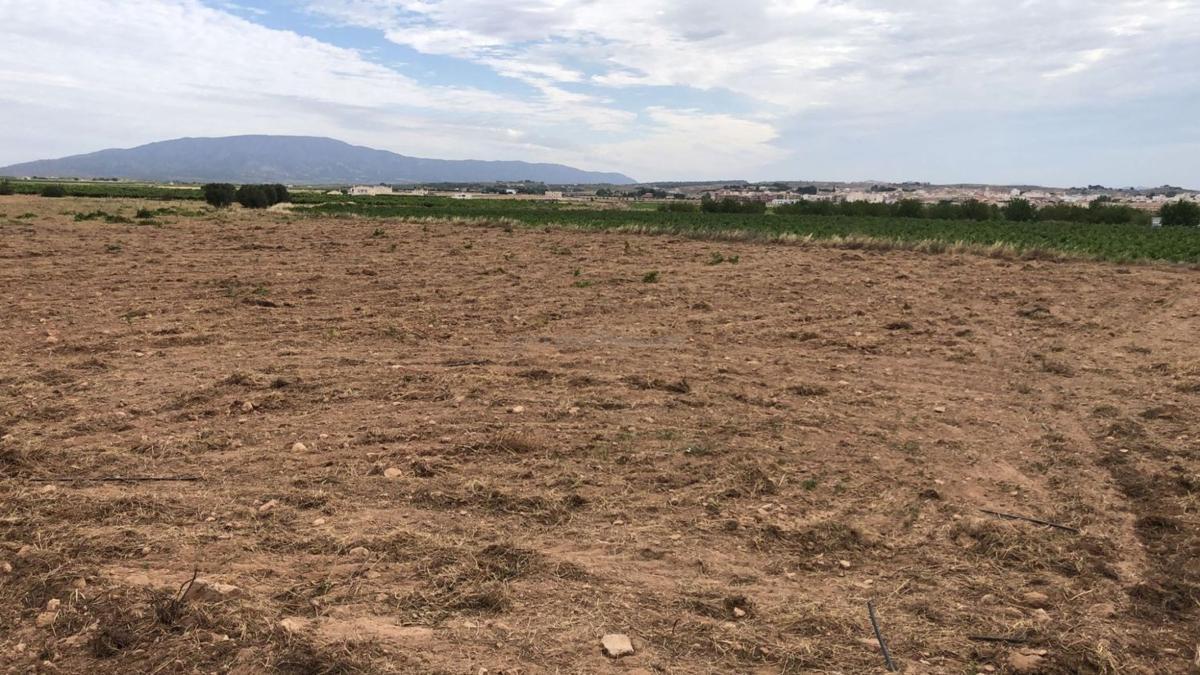 Venta de villa en Pinoso