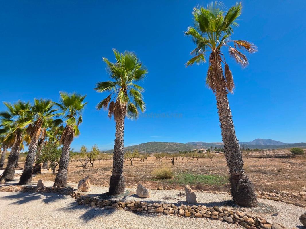 Venta de casas en Pinoso